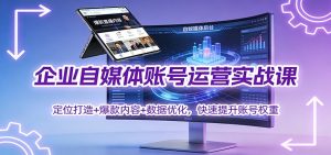 企业自媒体账号运营实战课：定位打造+ 爆款内容+数据优化，快速提升账号权重-网创项目