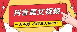 抖音美女视频，一刀不剪，两分钟一条视频，小白轻松上手，日入1000-网创项目