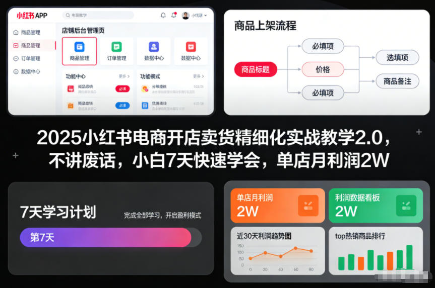 2025小红书电商开店卖货精细化实战教学2.0，不讲废话，小白7天快速学会，单店月利润2W-网创项目