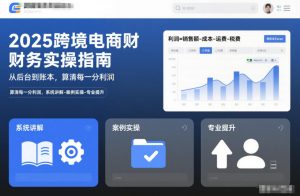 2025跨境电商财务实操指南,从后台到账本,算清每一分利润,系统讲解-案例实操-专业提升-网创项目