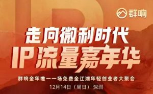 2025ip嘉年华万人12月14深圳线下课,走向微利时代,IP流量嘉年华,实操性极强的商业干货课-网创项目