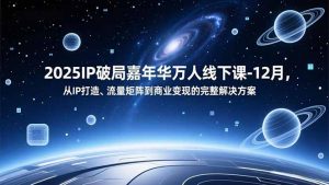 2025IP破局嘉年华万人线下课-12月,从IP打造、流量矩阵到商业变现的完整解决方案-网创项目