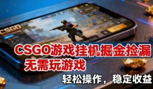 CSGO游戏挂G掘金捡漏,不需要玩游戏,操作简单,收益稳定【揭秘】-网创项目