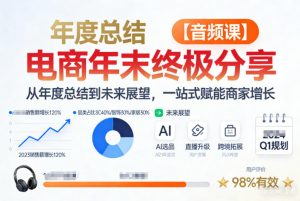 电商年未终极分享,从年度总结到未来展望,一站式赋能商家增长【音频课】-网创项目