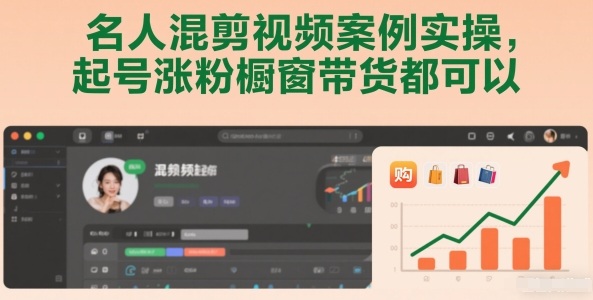 名人混剪视频案例实操，起号涨粉橱窗带货都可以-网创项目