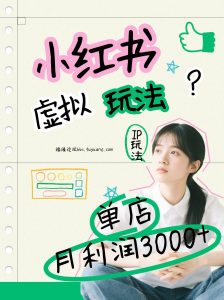 小红书虚拟玩法(铺货流和单品玩法)，单店月利润3000+，IP打法+原创商品(0违规)-网创项目