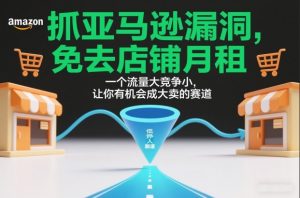抓亚马逊漏洞，免去店铺月租，一个流量大竞争小，让你有机会成大卖的赛道-网创项目
