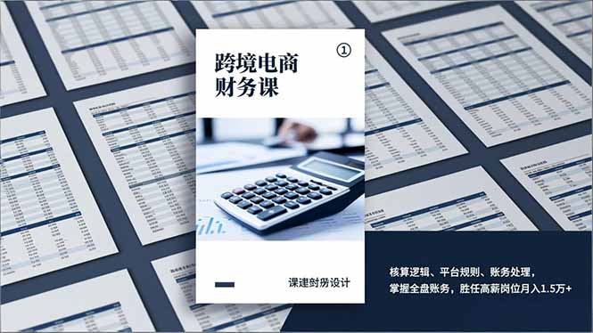 跨境电商财务课，核算逻辑、平台规则、账务处理，掌握全盘账务，胜任高薪岗位月入1.5万+-网创项目