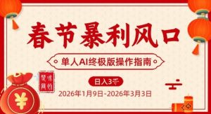 春节暴利风口项目，单人AI落地翻身终极版实操-网创项目