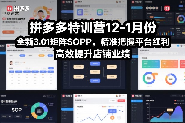 拼多多特训营12-1月份，全新3.01矩阵Sop，精准把握平台红利，高效提升店铺业绩-网创项目