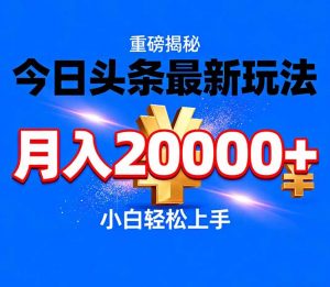 今日头条代运营最新玩法,轻轻松松月入20000+-网创项目