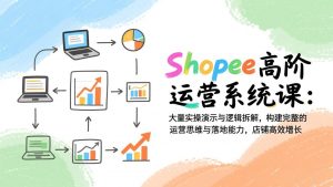 Shopee高阶运营系统课:大量实操演示与逻辑拆解,构建完整的运营思维与落地能力,店铺高效增长-网创项目