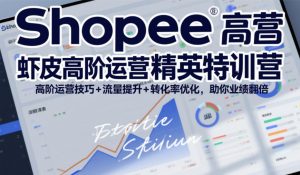 Shopee虾皮高阶运营精英特训营，高阶运营技巧+流量提升+转化率优化，助你业绩翻倍-网创项目