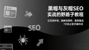 黑帽与灰帽SEO实战的野路子教程:泛目录秒收,蜘蛛池搭桥,霸屏截流,7天抢占首页暴利词-网创项目