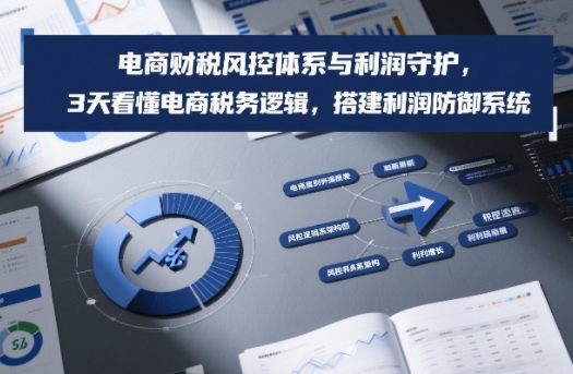 电商财税风控体系与利润守护,3天看懂电商税务逻辑,搭建利润防御系统