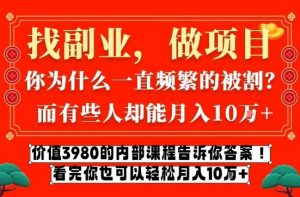 价值3980的网创内部课程，告诉你互联网创业月入10个W的秘密【揭秘】-网创项目