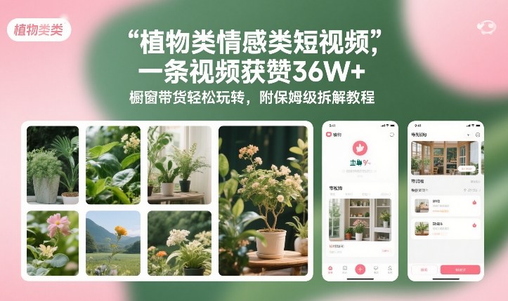 植物类情感类短视频，一条视频获赞36W+，橱窗带货轻松玩转，附保姆级拆解教程-网创项目