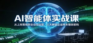 AI智能体实战课：从上岗落地到全自动运营，三天解锁企业降本增效密码-网创项目