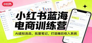 小红书蓝海电商训练营:AI虚拟选品,批量笔记,打造睡后收入系统-网创项目