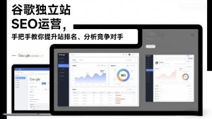 谷歌独立站SEO运营，手把手教你提升网站排名、分析竞争对手(更新2026)-网创项目