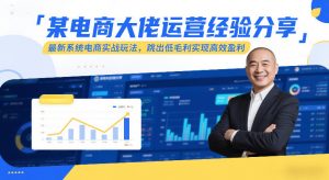 某电商大佬运营经验分享，最新系统电商实战玩法，跳出低毛利实现高效盈利-网创项目