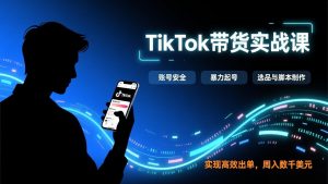 TikTok带货实战课，涵盖账号安全、暴力起号、选品与脚本制作，实现高效出单，周入数千美元-网创项目