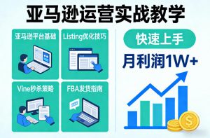 亚马逊运营实战教学，亚马逊平台+Listing优化+Vine秒杀+FBA发货等，快速上手，实现店铺月利润1W-网创项目