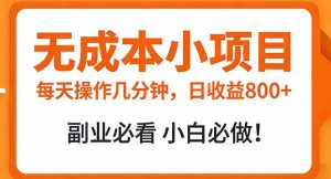 无成本小项目 每天操作几分钟，真实日收益800+ 副业必看 小白必做！-网创项目