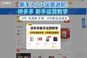 新手入门+运营进阶!拼多多新手运营教学,8节吃透新手课,8节搞定运营关-网创项目