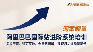 阿里巴巴国际站进阶系统培训，实战干货、强可落地、全链路拆解，实现月均询盘量翻倍-网创项目