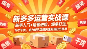 拼多多运营实战课,新手入门+运营进阶、爆单打法,16节干货,助力新手店铺快速实现日出百单-网创项目