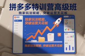 拼多多特训营高阶班，独家玩法赋能，突破运营天花板(更新26年2月)-网创项目