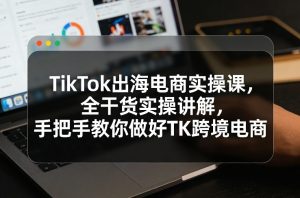 TikTok出海电商实操课，全干货实操讲解，手把手教你做好TK跨境电商-网创项目