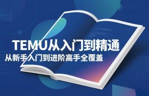 TEMU从入门到精通,从新手入门到进阶高手全覆盖-网创项目
