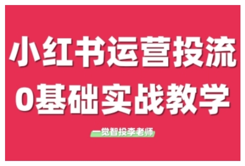 小红书运营投流，小红书广告投放从0到1的实战课，学完即可开始投放(更新26年)-网创项目
