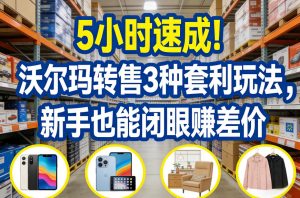 5小时速成！沃尔玛转售3种套利玩法，新手也能闭眼賺差价-网创项目