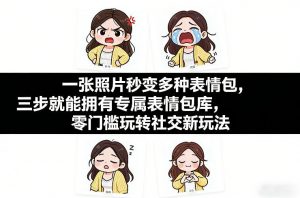 一张照片秒变多种表情包，三步就能拥有专属表情包库，零门槛玩转社交新玩法【文档】-网创项目