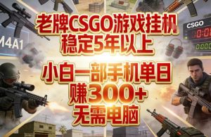 老牌CSGO游戏挂G，稳定5年以上，小白一部手机单日賺3张+，无需电脑【揭秘】-网创项目