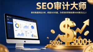 SEO审计大师:教你精通网站分析,修复SEO问题,为有效的审核收费5000美元以上!-网创项目