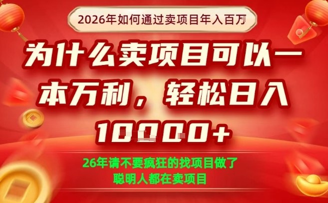 一单净利润1K+，26年想年入100个W，死磕卖项目就够了【揭秘】-网创项目