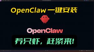 openclaw安装教程和资料，10分钟搞定，一切，让你轻松拥有龙虾-网创项目