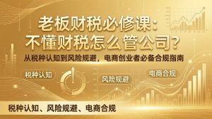 老板财税必修课:不懂财税怎么管公司?从税种认知到风险规避,电商创业者必备合规指南-网创项目