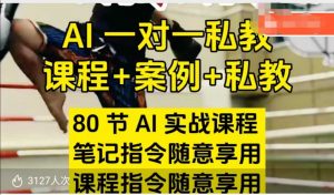 AI指令实战课,课程+案例,80节AI实战课程,笔记指令随意享用,课程指令随意享用(更新26年3月)-网创项目