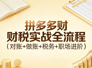 拼多多财税实战全流程(对账+做账+税务+职场进阶)-网创项目