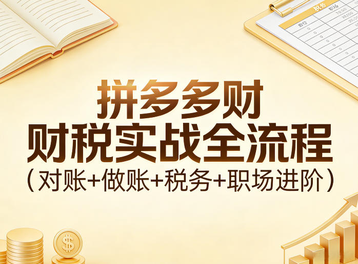 拼多多财税实战全流程(对账+做账+税务+职场进阶)-网创项目