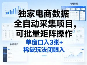 独家电商数据全自动采集项目,可批量矩阵操作,单窗口日入3张+,稀缺玩法闭眼入【揭秘】-网创项目