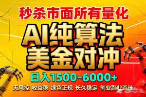 2026全网首发黑马项目,AI美金算法对冲,日入2000-6000+,稳定长效0风险,彻底告别996死工资-网创项目