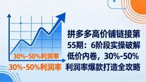 拼多多高价铺链接第55期:6阶段实操破解低价内卷,30%-50%利润率爆款打造全攻略-网创项目