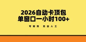 2026自动卡顶包玩法,单窗口一小时100+,可矩阵操作,无需人工【揭秘】-网创项目