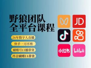 野狼团队2026新版全平台短视频带货教学,打开流量突破口,开始Ai带货(更新26年3月)-网创项目